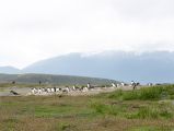 Foto: Tierra del Fuego. Gateway to the Icy Continent